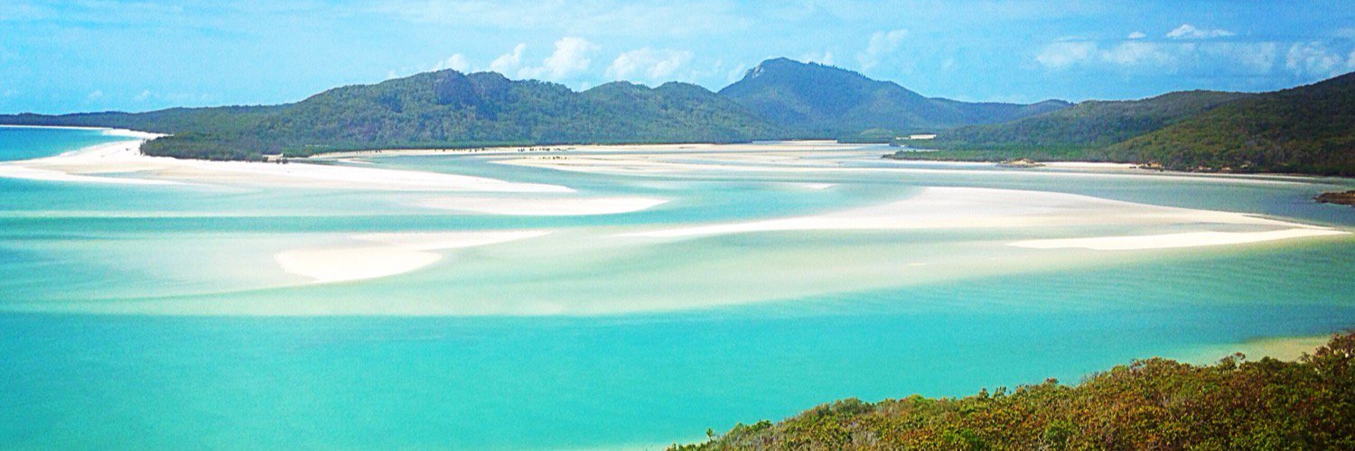 Daisy Primett banner