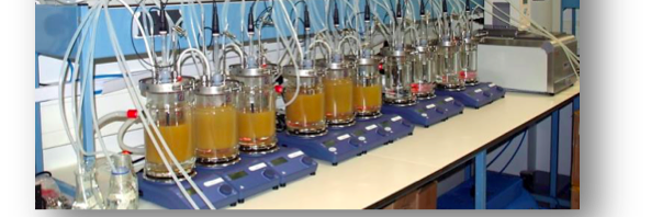 Tom Van de Wiele banner