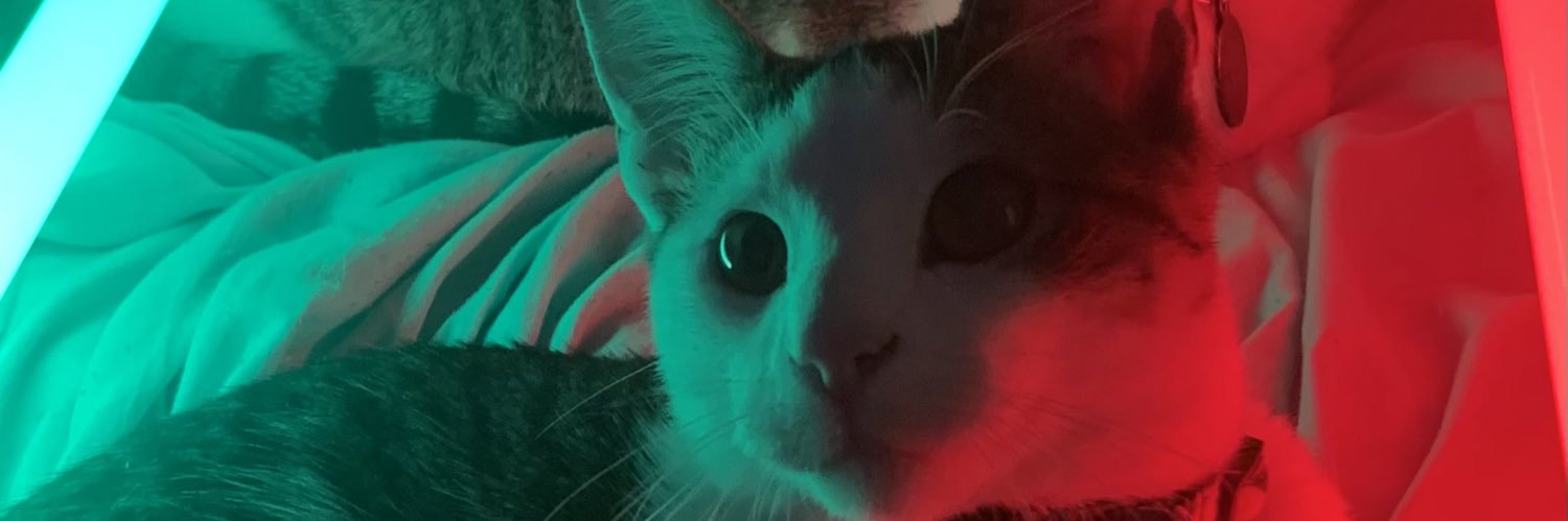 SeanJMull's profile banner image