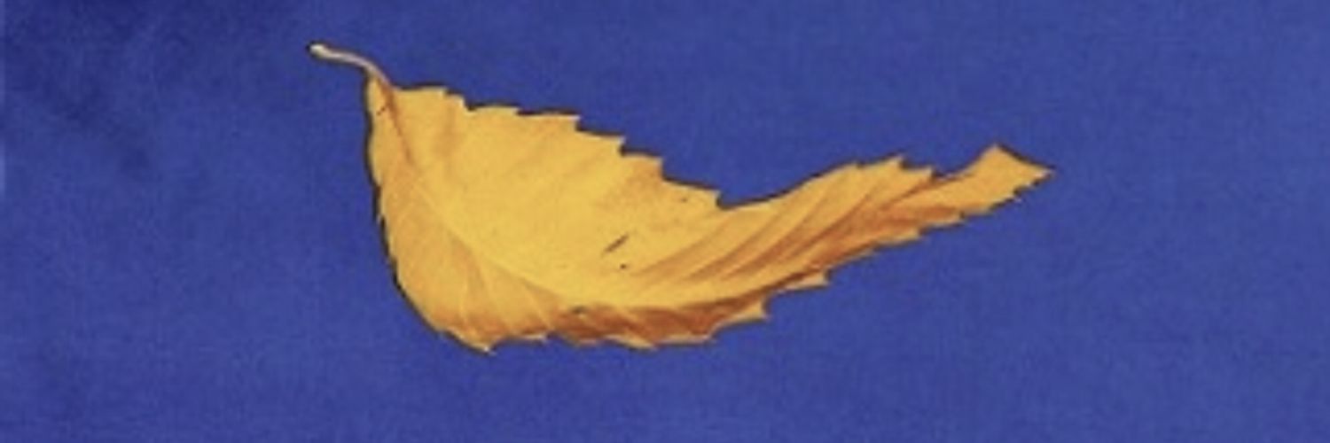 Oxton Powers 🎧 banner