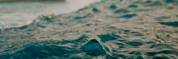 rascierto Profile Banner