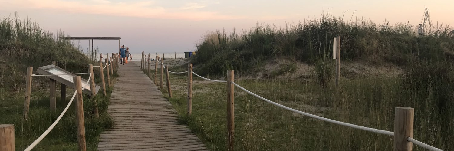 Laura Lopez Marchal banner