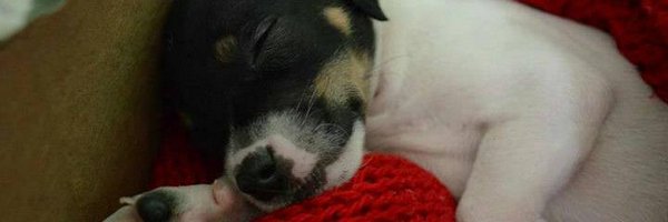 _sbrns Profile Banner