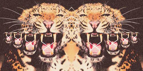 prent_'s profile banner image