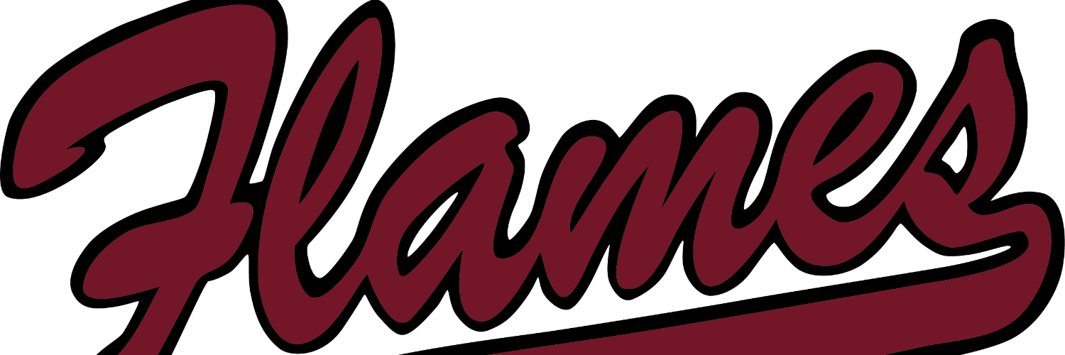 FalconFlames's profile banner image