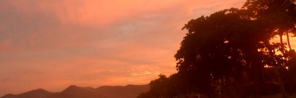 StrategicRoll Profile Banner