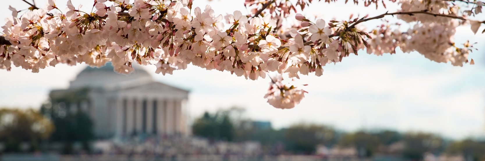 Virginia Tech SPIA banner