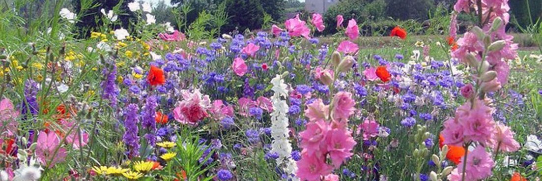 lateblum🇺🇸🇮🇱 banner