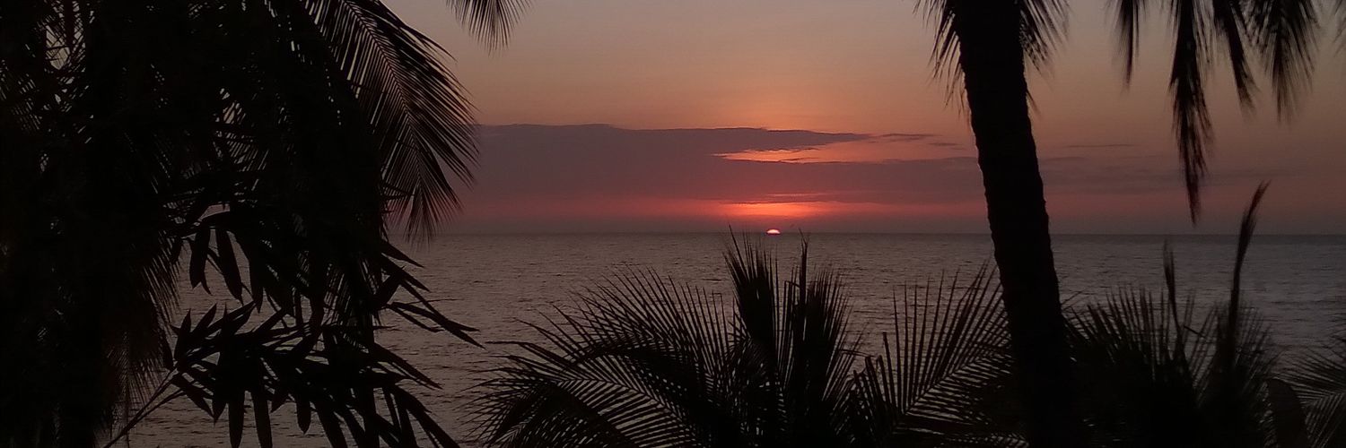 MellR10's profile banner image