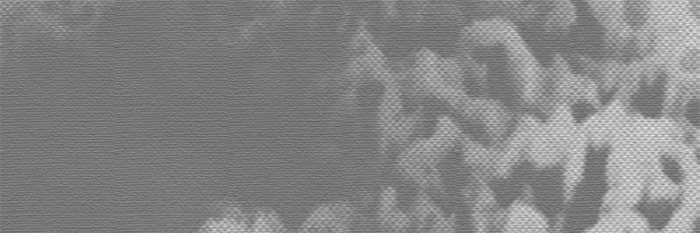 Paws Menu 🏛 banner