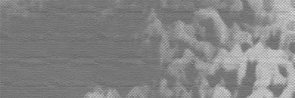 thesaveroom Profile Banner