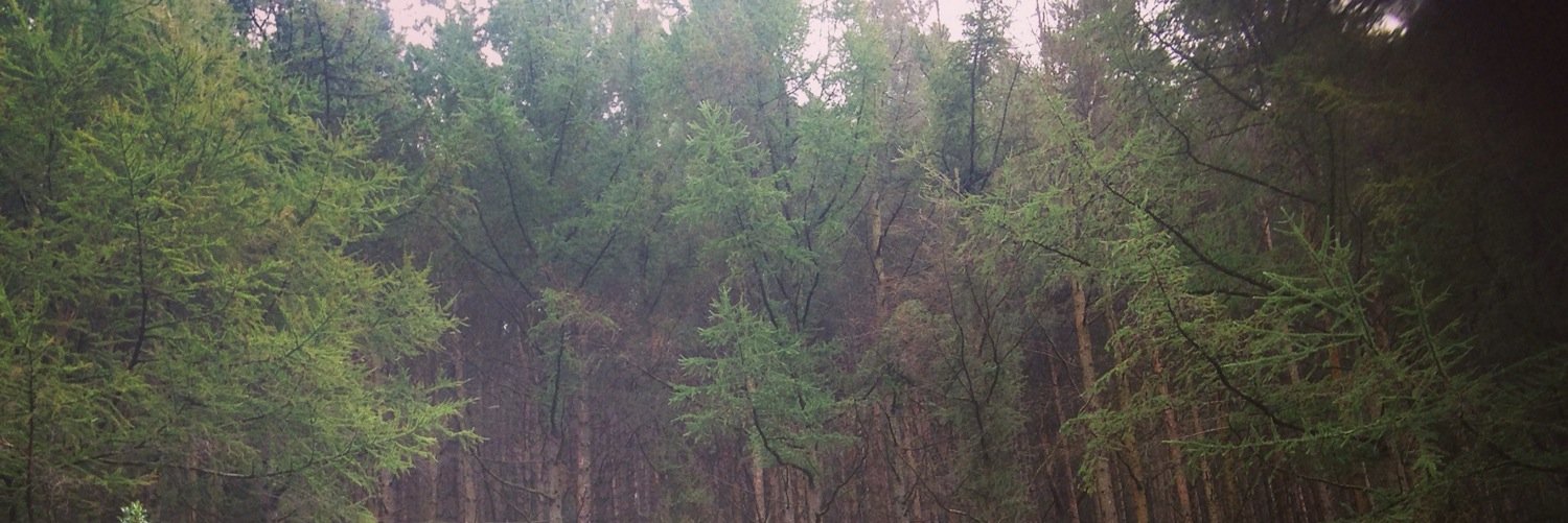 CathSimons's profile banner image