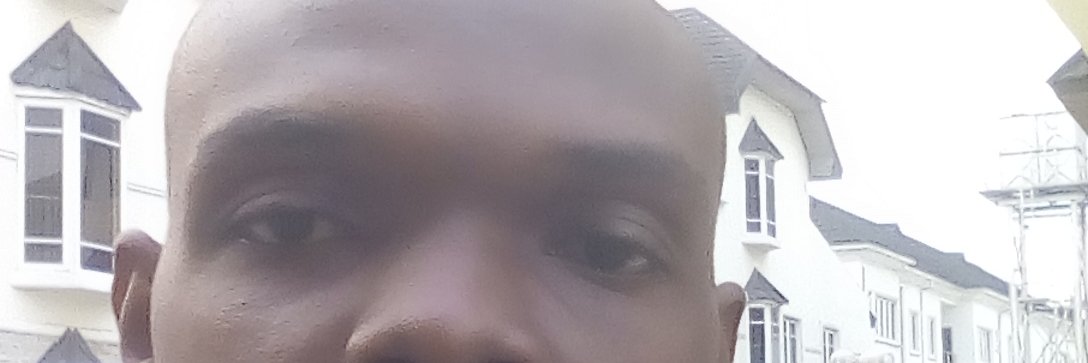 ovobird's profile banner image