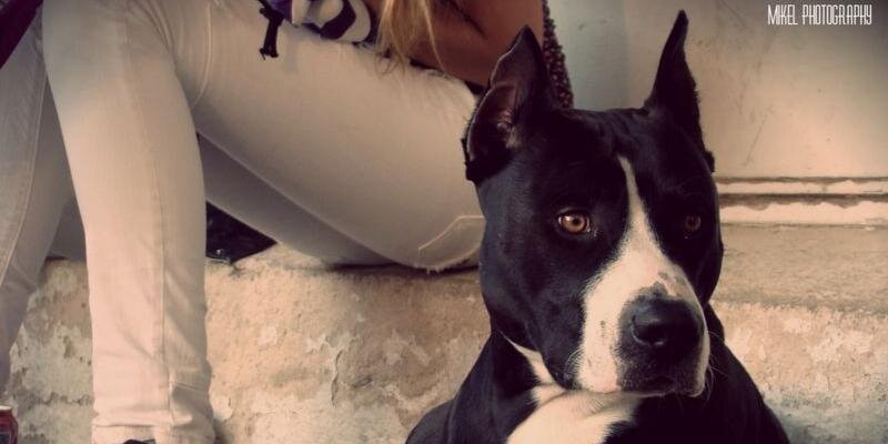 💙Anthony🧠 banner