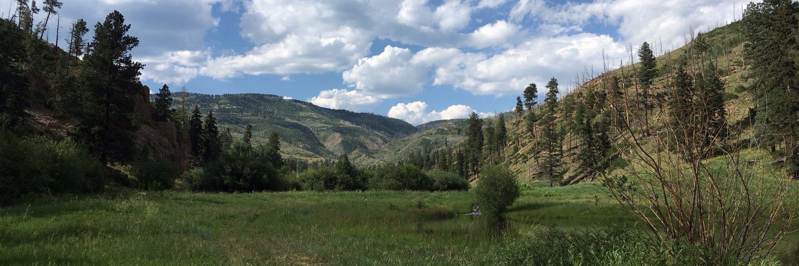 sustainnative's profile banner image
