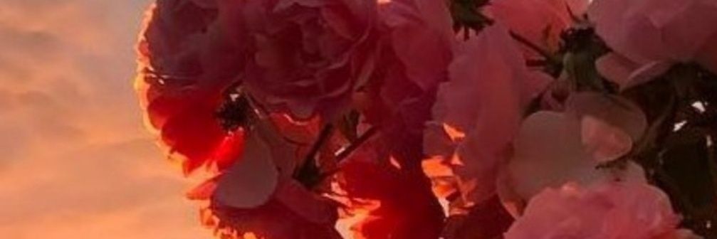 fk__k's profile banner image