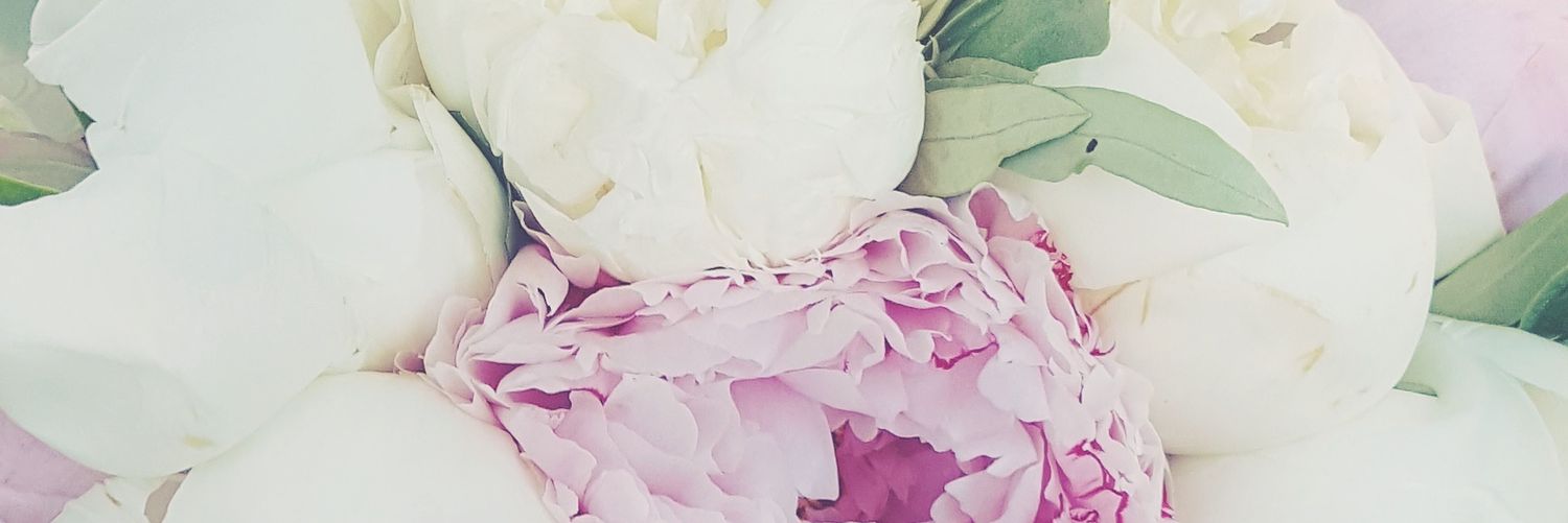 kellieborge_'s profile banner image