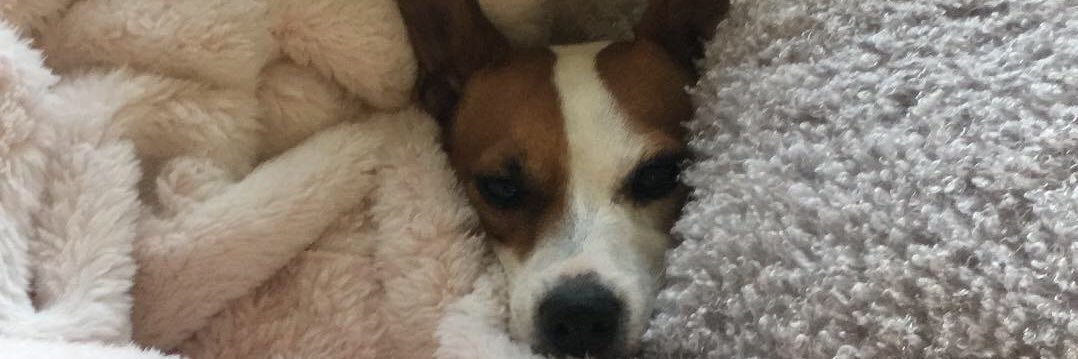 AmyKate2202's profile banner image