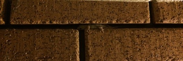 hidakat Profile Banner