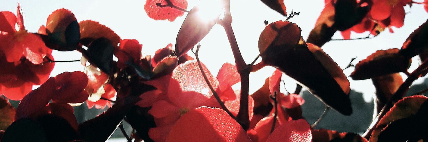 Lide_7's profile banner image