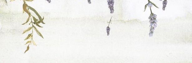 3nnP's profile banner image