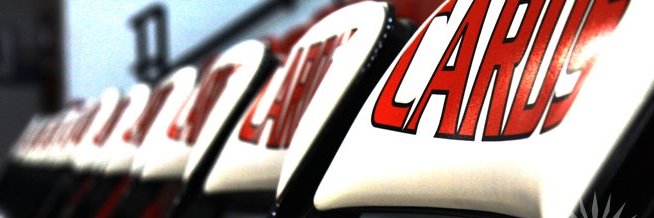 Mineral Area Athletics banner