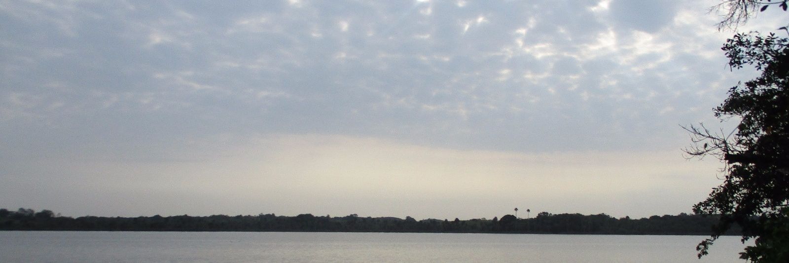 flormar01's profile banner image