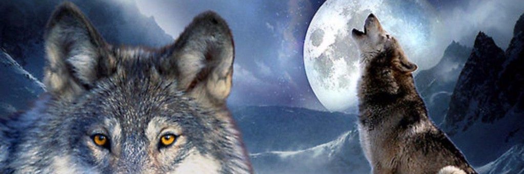 gsamarok's profile banner image