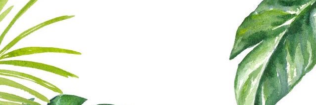 TeaFanKnee's profile banner image