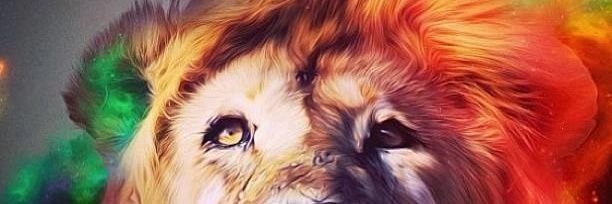 tkalpurush's profile banner image