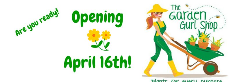 gardengurlshop's profile banner image