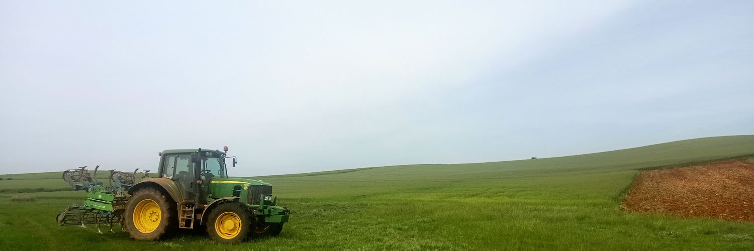 Pablo Sanz Hetfield banner