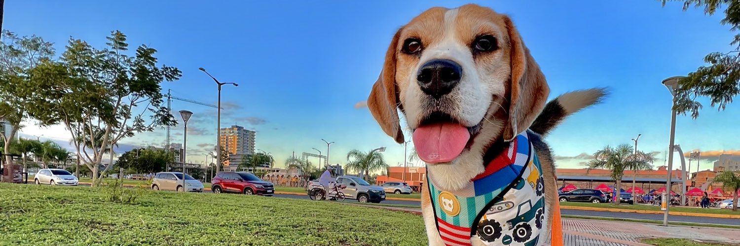 MenchiGimenez's profile banner image