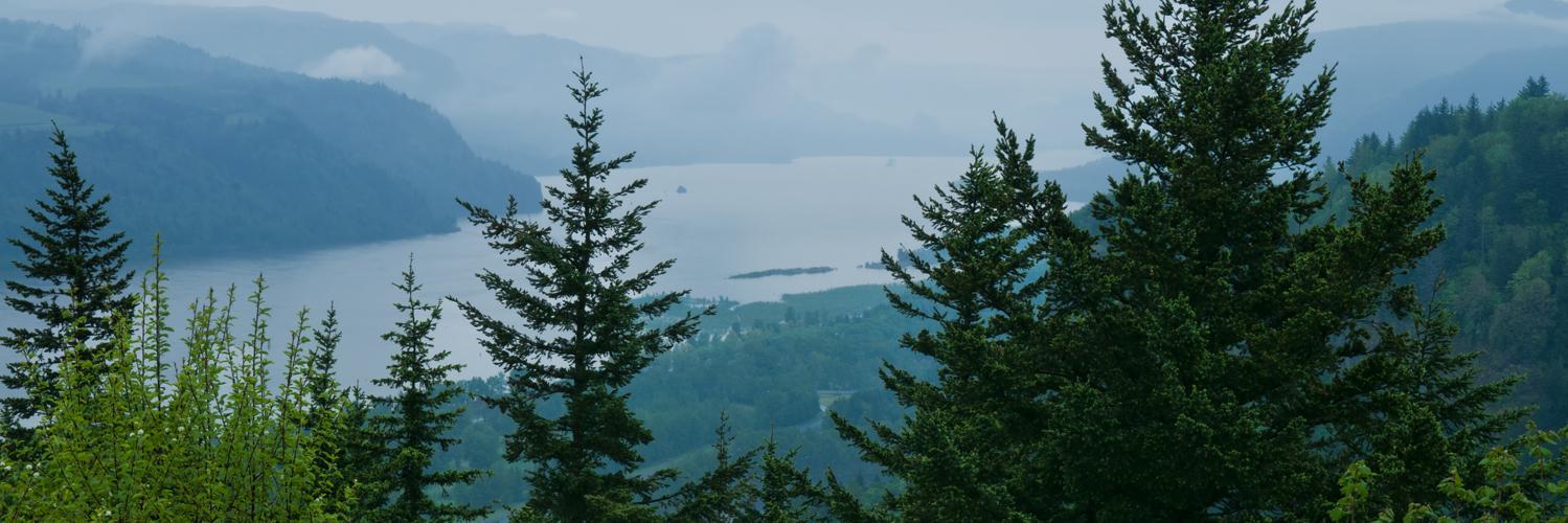 BlueMarbleC's profile banner image