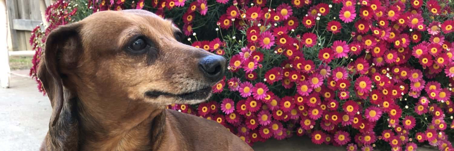 a2thek916's profile banner image