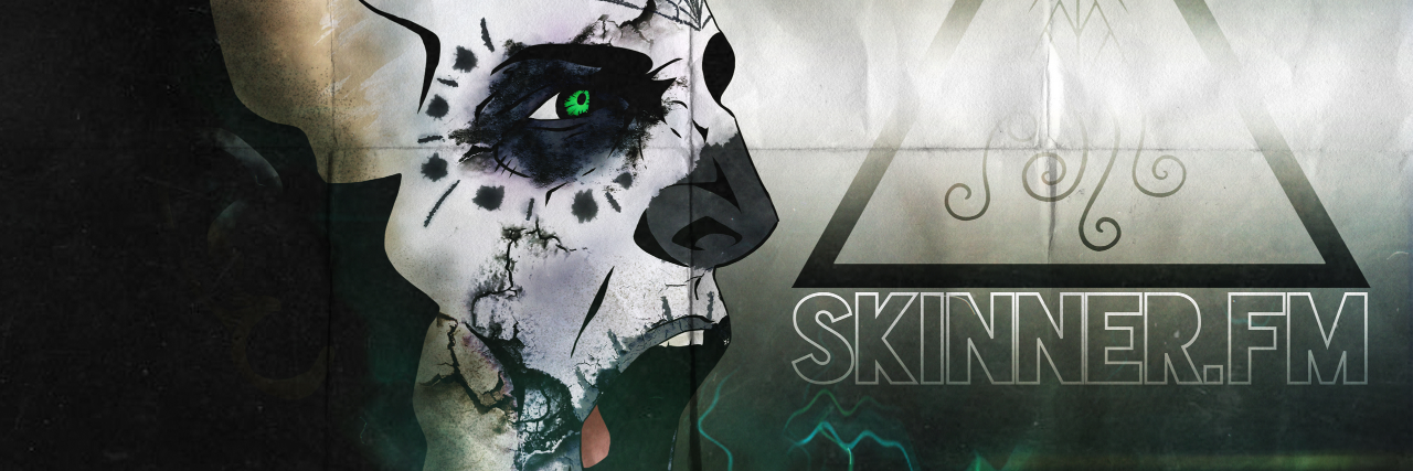 Skinner Co. banner