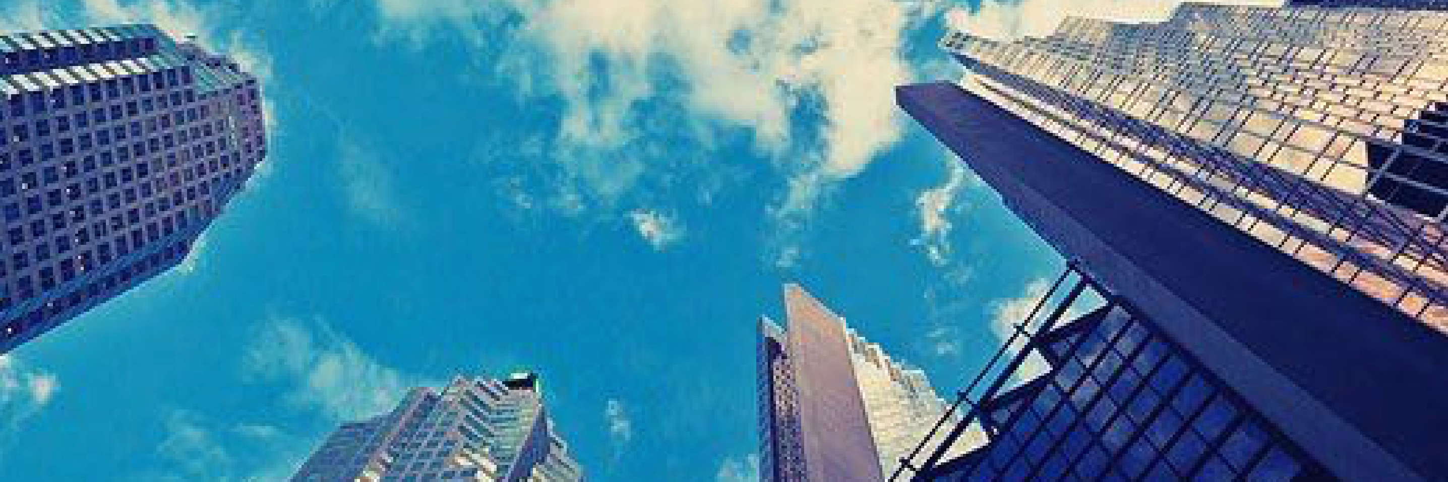 TheNakedTraders's profile banner image