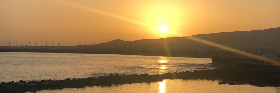 Fran del Toro 🇮🇨 banner