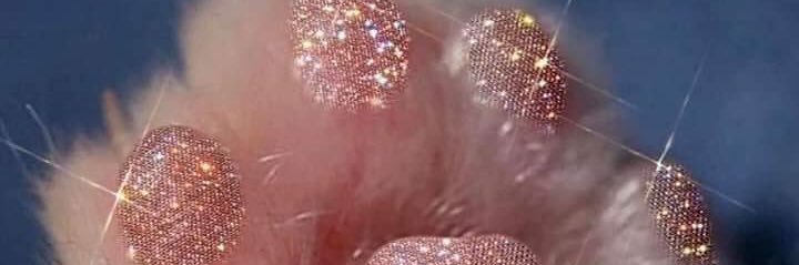 kendramurphy5's profile banner image