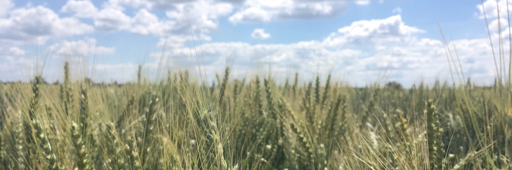 Michael Ortner banner