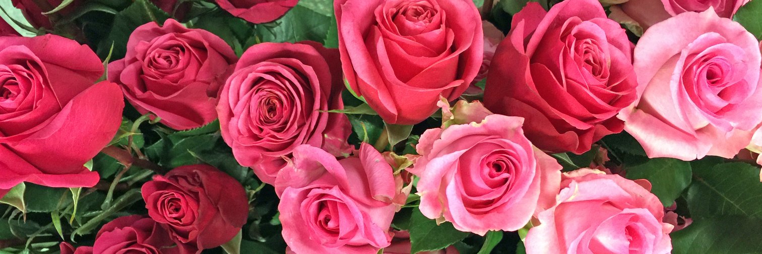 RobertsFloral's profile banner image