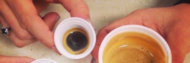 305cafecito's profile banner image