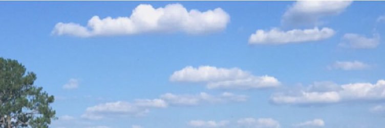 carson_royal904's profile banner image
