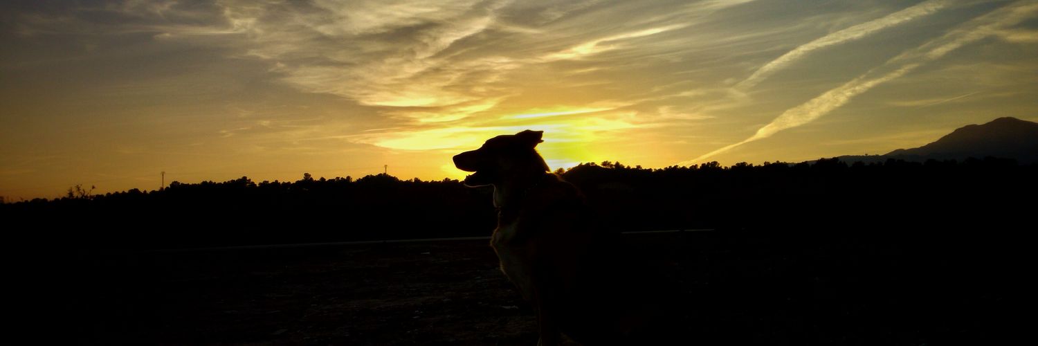 Mateos43's profile banner image