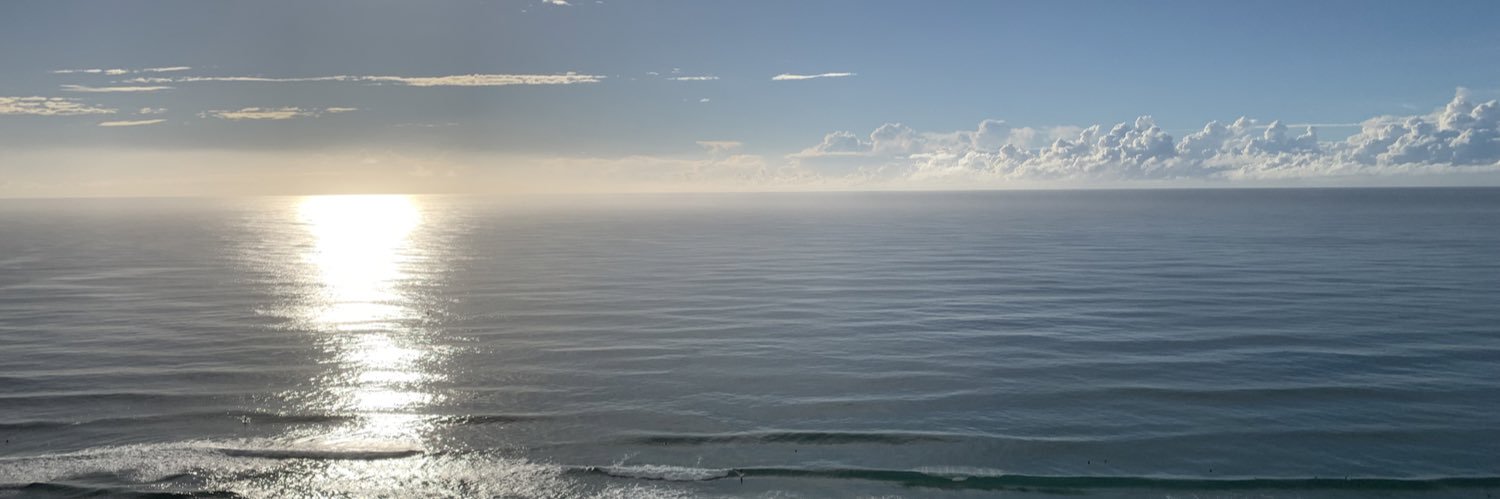 Ronnielulu's profile banner image