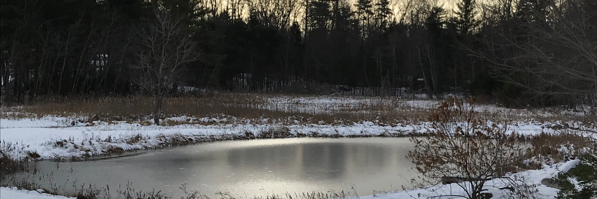 JBMcKane's profile banner image