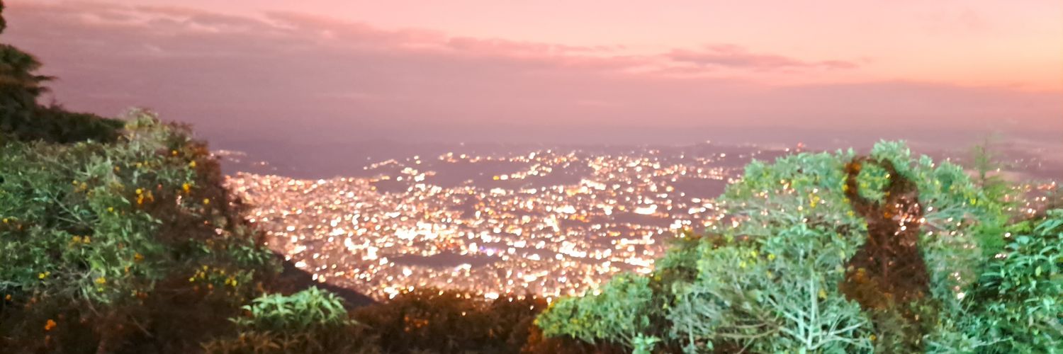 vaneshoy's profile banner image