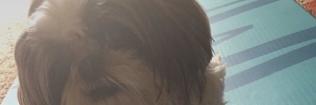 Apathetic_Toast's profile banner image
