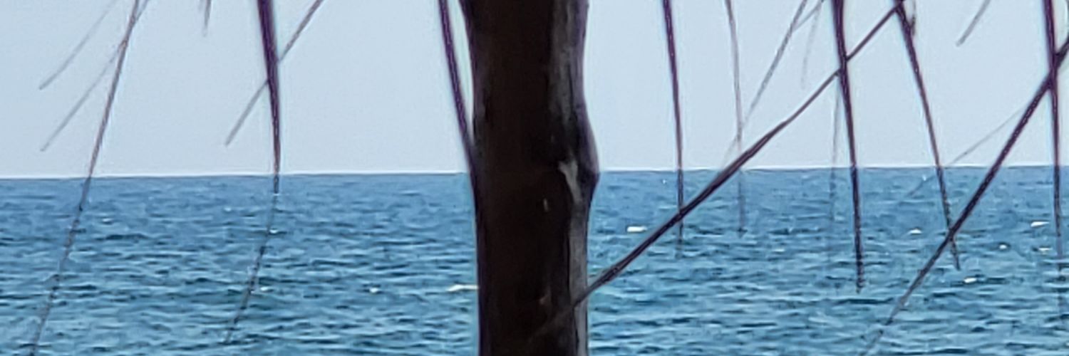 ShejoGarcia's profile banner image