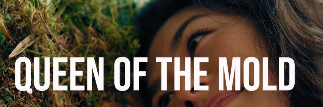 LizzyBryce's profile banner image